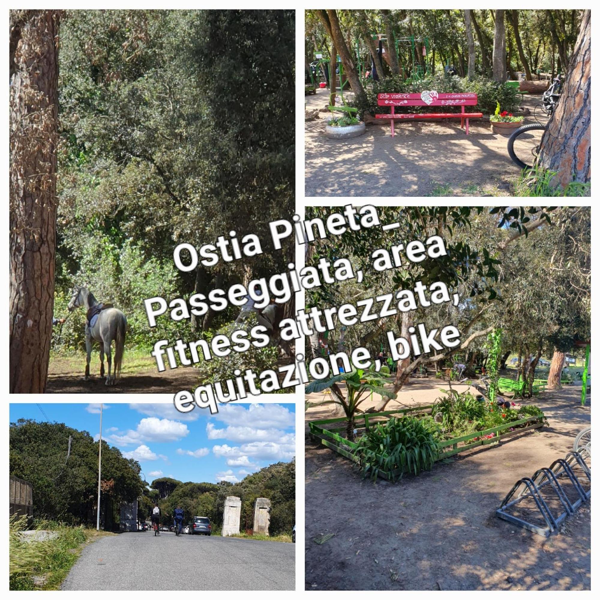 Casa Diana Ostia Apartment Екстериор снимка